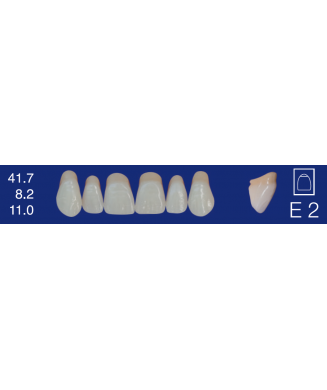 Biodent formes supérieures - Antérieure haute Biodent formes supérieures - Antérieure haute